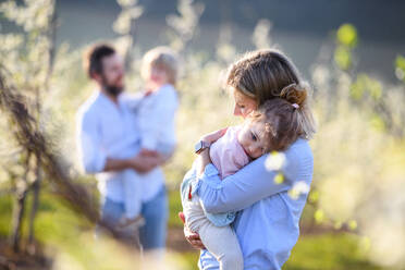 Front view of family with two small children standing outdoors in orchard in spring. - HPIF16711