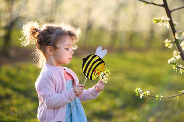 Seitenansicht eines kleinen Mädchens im Obstgarten im Frühling, das eine Papierbiene hält. - HPIF16717