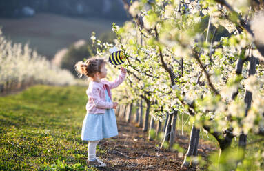 Side view of small toddler girl standing outdoors in orchard in spring, holding paper bee. - HPIF16718