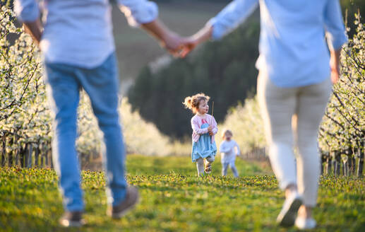 Vorderansicht einer Familie mit zwei kleinen Kindern bei einem Spaziergang im Obstgarten im Frühling. - HPIF16720