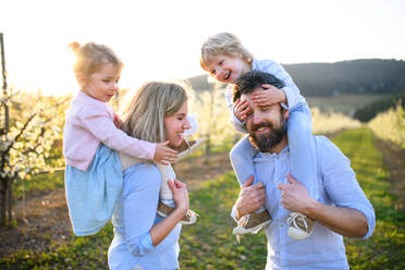 Front view of family with two small children standing outdoors in orchard in spring, piggyback ride. - HPIF16721