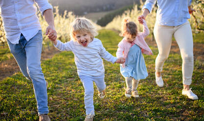 Vorderansicht einer Familie mit zwei kleinen Kindern, die im Frühjahr im Obstgarten herumlaufen. - HPIF16722