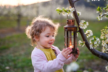 Fröhliches kleines Mädchen im Obstgarten im Frühling, das eine Laterne hält. - HPIF16734