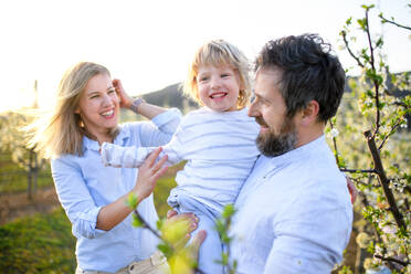 Front view of family with small son standing outdoors in orchard in spring, laughing. - HPIF16744