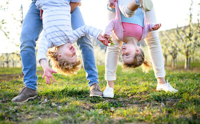 Fröhliche Familie in einem Obstgarten im Frühling, die Kinder auf dem Kopf haltend. - HPIF16748