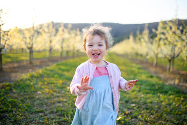 Front view of small toddler girl running outdoors in orchard in spring. - HPIF16755