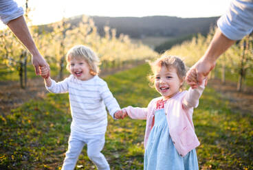 Vorderansicht einer Familie mit zwei kleinen Kindern, die im Frühjahr im Obstgarten herumlaufen. - HPIF16757