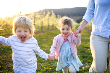 Zwei kleine Kinder mit nicht erkennbarer Mutter rennen im Frühling im Obstgarten herum. - HPIF16758