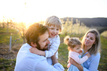 Front view of family with two small children standing outdoors in orchard in spring at sunset. - HPIF16761