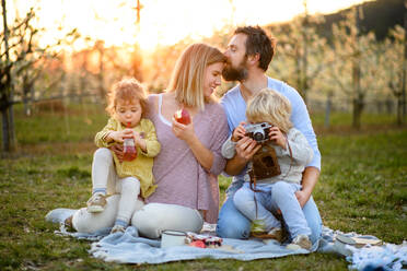 Frontansicht einer Familie mit zwei kleinen Kindern beim Picknick im Freien in der frühlingshaften Natur bei Sonnenuntergang. - HPIF16765