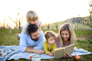 Familie und zwei kleine Kinder mit Kamera und Buch im Freien in der frühlingshaften Natur beim Ausruhen. - HPIF16771