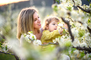 Porträt einer Mutter mit ihrer kleinen Tochter, die im Frühling im Obstgarten steht und an Blumen riecht. - HPIF16775