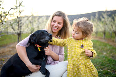 Vorderansicht einer Mutter mit kleiner Tochter und Hund, die im Frühling in der Natur sitzen. - HPIF16777