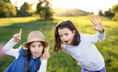 Front view portrait of two small girls standing outdoors in spring nature, having fun. - HPIF16811