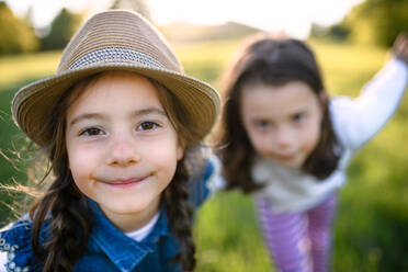 Front view portrait of two small girls standing outdoors in spring nature, looking at camera. - HPIF16812