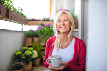 Glückliche ältere Frau mit Kaffee auf dem Balkon im Sommer, entspannt zwischen blühenden Topfpflanzen. - HPIF17130