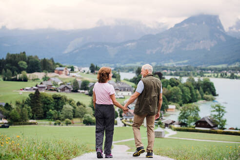 A rear view of senior pensioner couple hiking in nature, holding hands. - HPIF17169