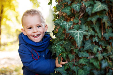 A portrait of a small toddler boy standing in autumn forest, leaning on a tree. Copy space. - HPIF17263