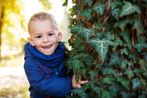 Ein Porträt eines kleinen Jungen im Herbstwald, der sich an einen Baum lehnt. - HPIF17263