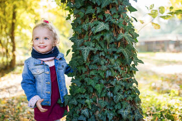 Front view portrait of a happy small toddler girl standing in autumn forest. - HPIF17264