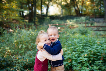 A portrait of twin toddler sibling boy and girl standing in autumn forest, hugging. - HPIF17267