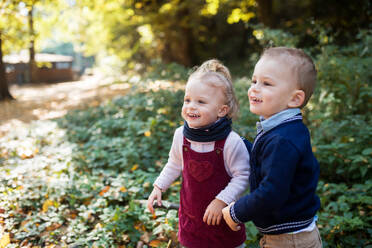 Ein Porträt der Zwillinge Kleinkind Geschwister Junge und Mädchen stehen im Herbst forest.Copy Raum. - HPIF17269