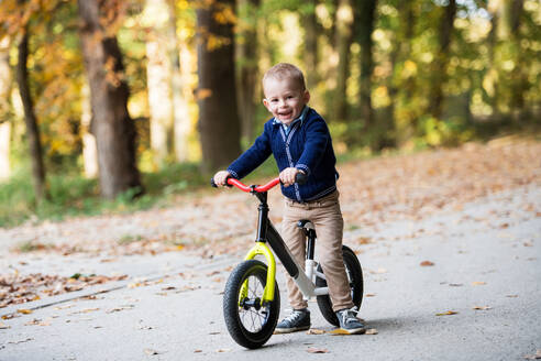 Ein Porträt von kleinen Kleinkind Junge im Herbst Wald, Reiten Balance Fahrrad. - HPIF17273