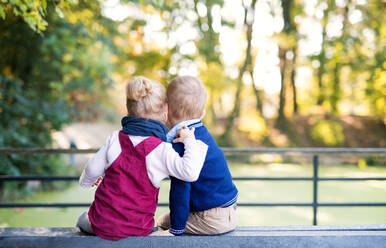Rear view of twin toddler sibling boy and girl sitting in autumn forest, hugging. - HPIF17274