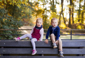 Cute Twin Kleinkind Geschwister Junge und Mädchen sitzen auf der Bank im Herbst Park. - HPIF17276