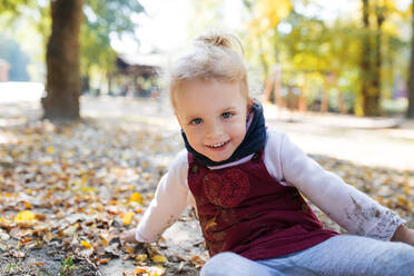 Front view portrait of a small toddler girl sitting on the ground in autumn forest, looking at camera. - HPIF17277