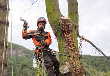 Baumpfleger mit Klettergurt beim Schneiden eines Baumes, Klettern, Raum kopieren. - HPIF17306