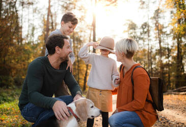 Eine schöne junge Familie mit kleinen Kindern bei einem Spaziergang im Herbstwald, die in die Kamera schaut. - HPIF17316