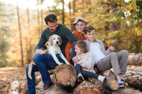 Porträt einer Familie mit kleinen Kindern und Hund bei einem Spaziergang im Herbstwald. - HPIF17317