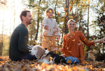 Beautiful young family with small daughter and dog sitting in autumn forest, having fun. - HPIF17322