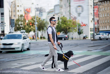 Side view of young blind man with white cane and guide dog walking across street in city. - HPIF17675