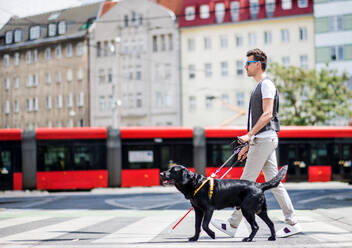 Seitenansicht eines jungen blinden Mannes mit weißem Stock und Blindenhund, der über eine Straße in der Stadt läuft. - HPIF17676