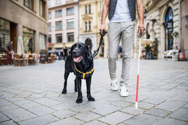 Unbekannter junger blinder Mann mit weißem Stock und Blindenhund geht auf dem Bürgersteig in der Stadt spazieren. - HPIF17679