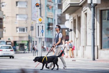 Seitenansicht eines jungen blinden Mannes mit weißem Stock und Blindenhund, der über eine Straße in der Stadt läuft. - HPIF17687