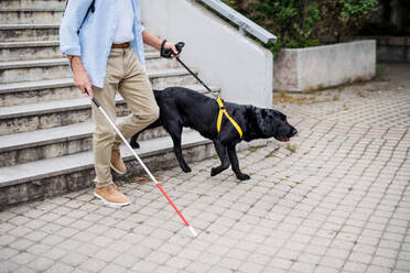 Ein älterer blinder Mann mit Blindenhund, der in der Stadt die Treppe hinuntergeht, in der Mitte des Bildes. - HPIF17731