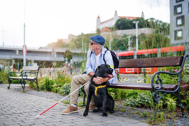 Älterer blinder Mann mit Blindenhund und weißem Stock sitzt auf einer Bank im Park in der Stadt. - HPIF17734