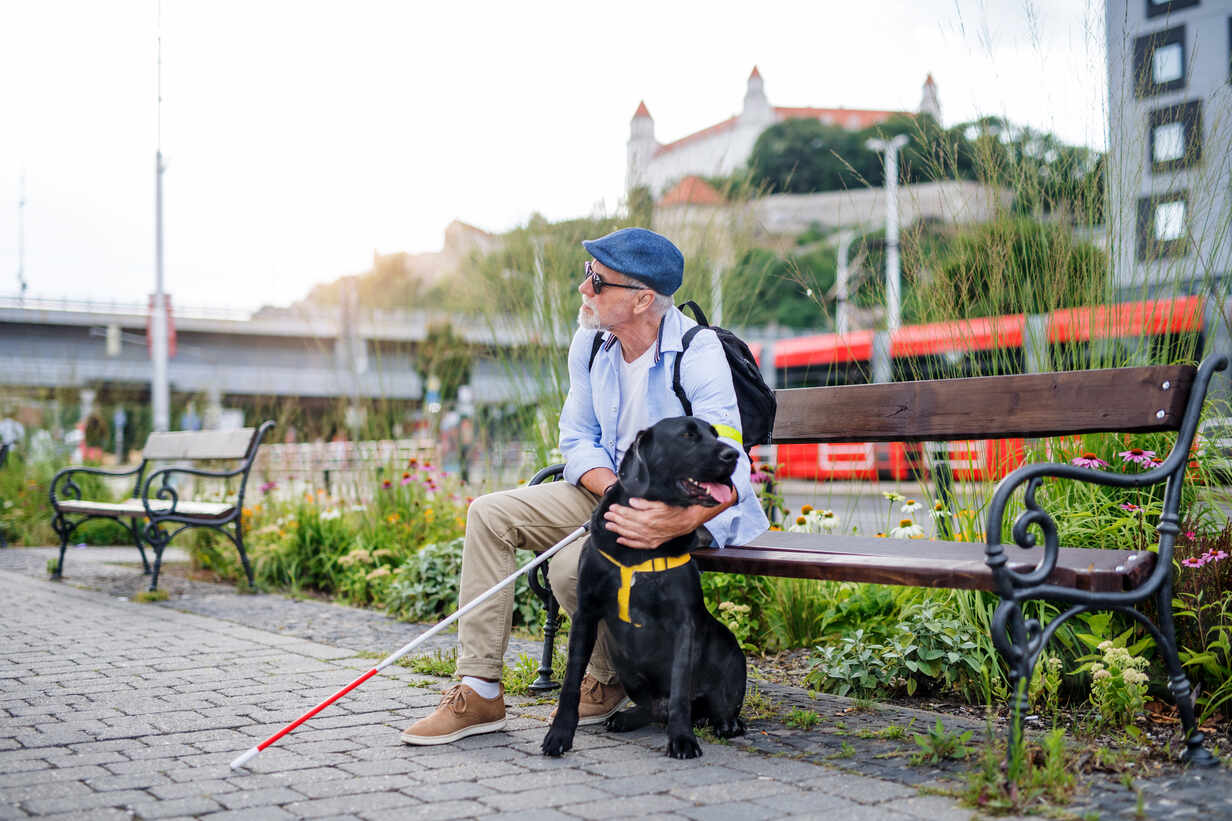 Young blind man with white cane and guide dog sitting in park in