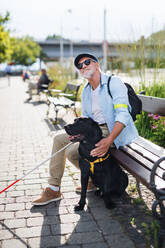 Älterer blinder Mann mit Blindenhund und weißem Stock sitzt auf einer Bank im Park in der Stadt. - HPIF17735