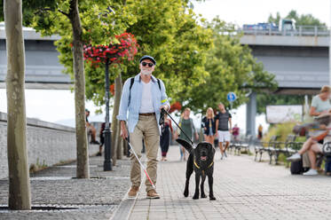 Vorderansicht eines älteren blinden Mannes mit Blindenhund beim Spaziergang in der Stadt. - HPIF17739
