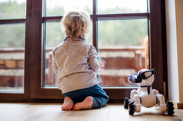 Eine Rückansicht der niedlichen Kleinkind Junge sitzt auf dem Boden zu Hause, spielen mit Roboter-Hund. - HPIF17819