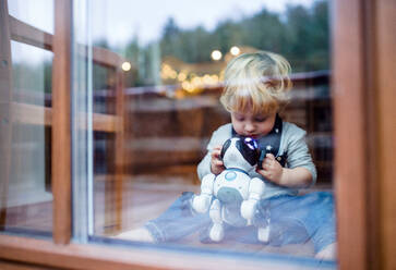 A happy cute toddler boy sitting on the floor indoors at home, playing with robotic dog. Shot through glass. - HPIF17821