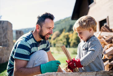 Ein glücklicher Vater und ein kleiner Junge im Sommer im Freien, der Brennholz in eine Schubkarre legt. - HPIF17834