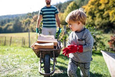 Unbekannter Vater und Kleinkind im Sommer im Freien, trägt Brennholz in einer Schubkarre, Mitte. - HPIF17841