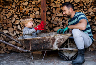 A father and toddler boy with wheelbarrow outdoors in summer, working with firewood. - HPIF17843