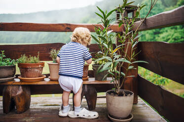 A rear view of toddler boy standing outdoors on a terrace in summer. - HPIF17846