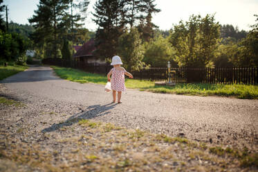 Eine Rückansicht von niedlichen Kleinkind Mädchen zu Fuß im Freien auf der Straße in der Landschaft im Sommer. kopieren Raum. - HPIF17860